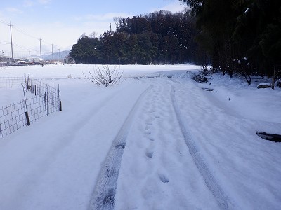 �z�O�����Ӊw�摜