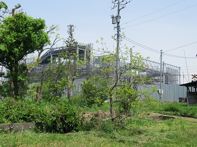 西口