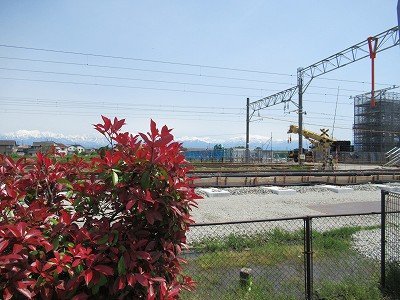 ホーム