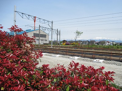 ホーム