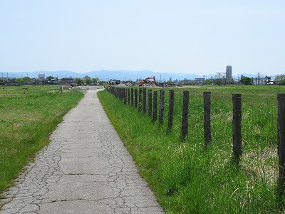 道