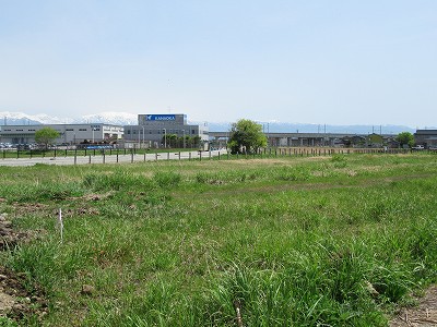 県道