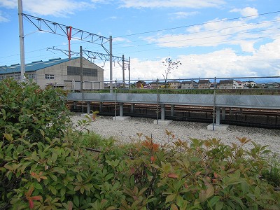 ホーム